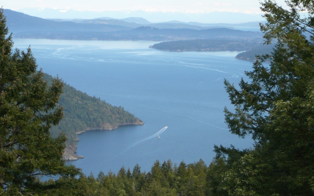 View of Saanich Inlet
